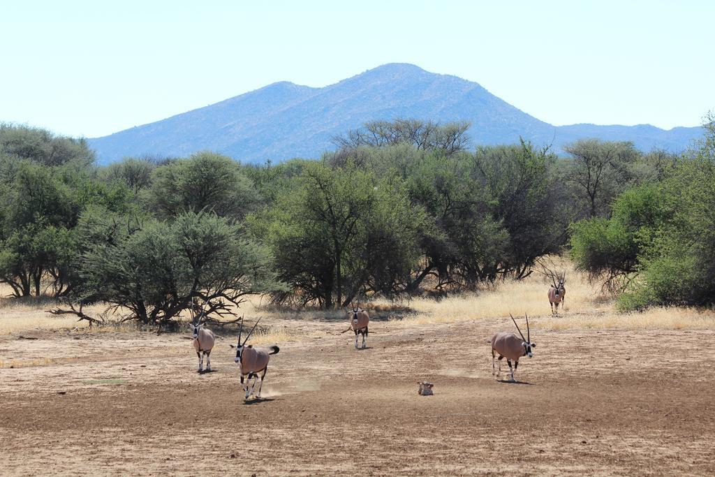 Haasenhof Gastefarm Villa Okahandja Ngoại thất bức ảnh